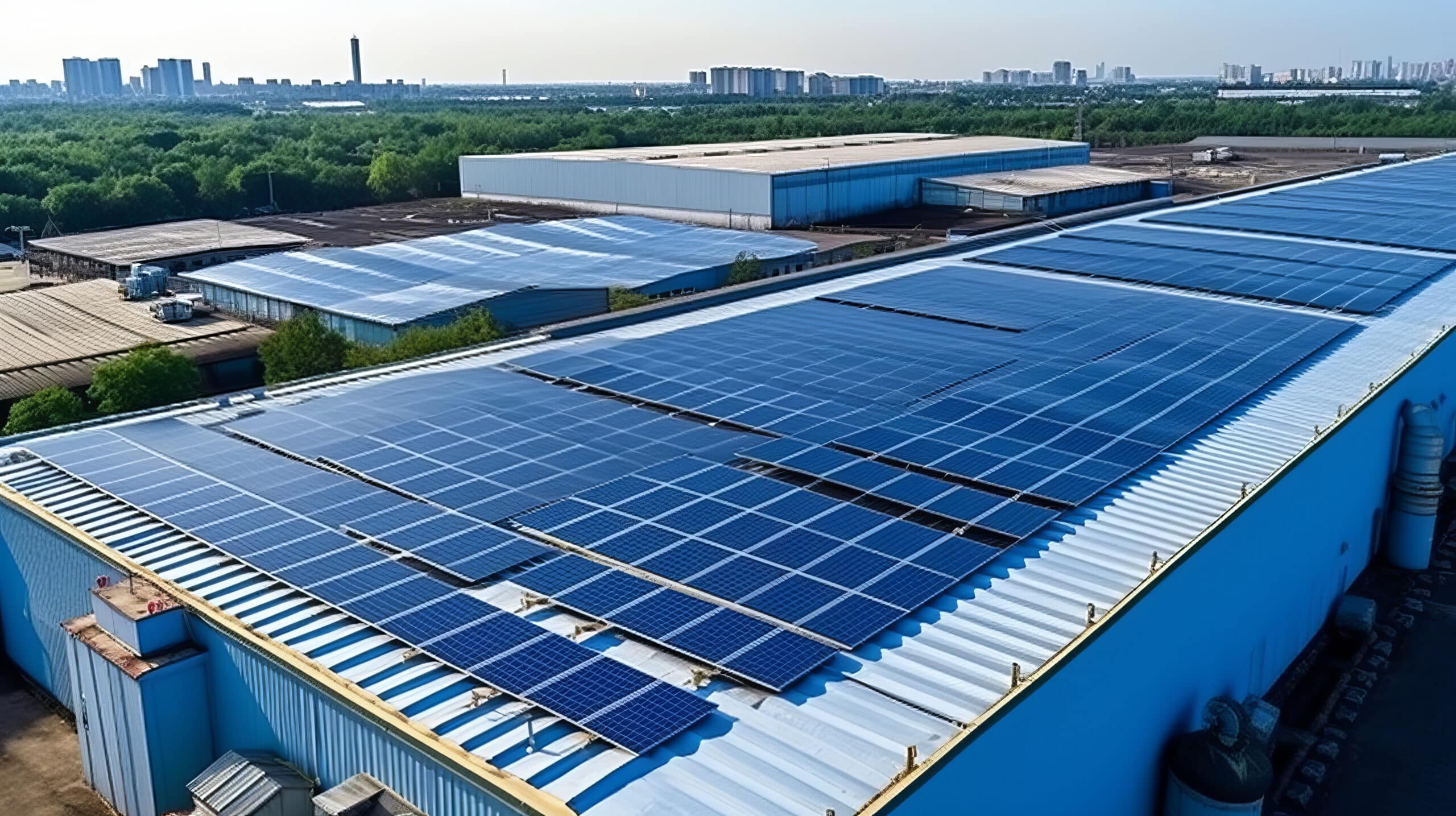 How Sustainable Warehouse Management Can Save Money